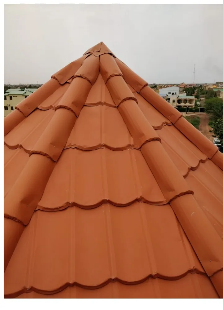 Tiled roof before treatment
