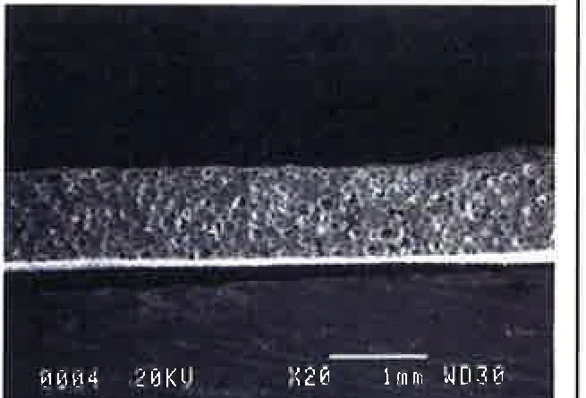 Scanning electron microscope image, ×20 magnification: The film in cross-section