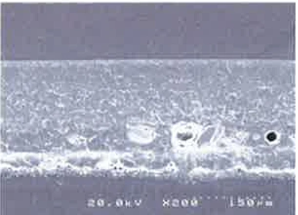 ×200 microscope image of the COOL ONE coating