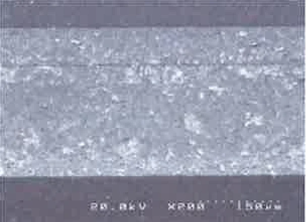 ×200 microscope image of the ECO COOL coating