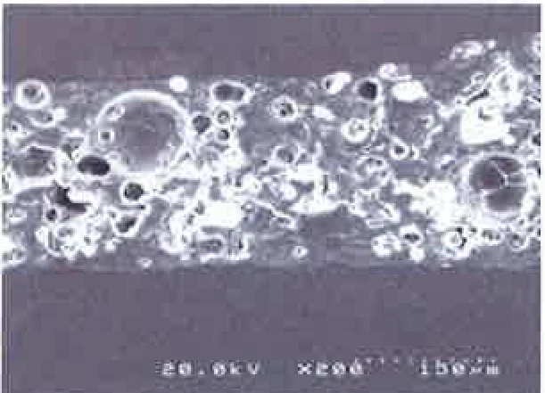 ×200 microscope image of the GAINA coating