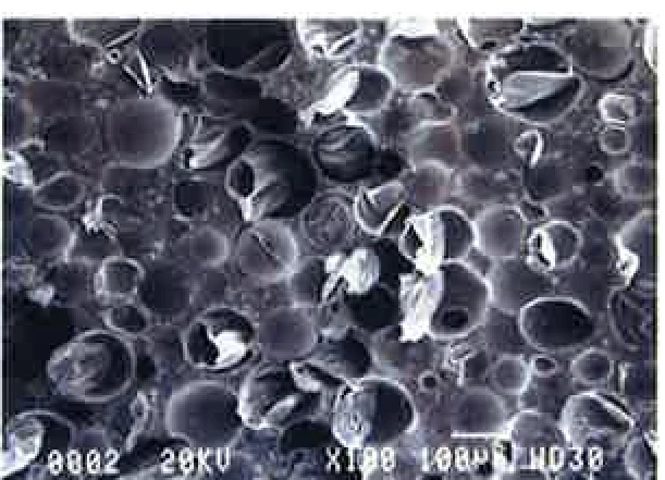 Scanning electron microscope image, ×200 magnification: The hollow micro-spheres
